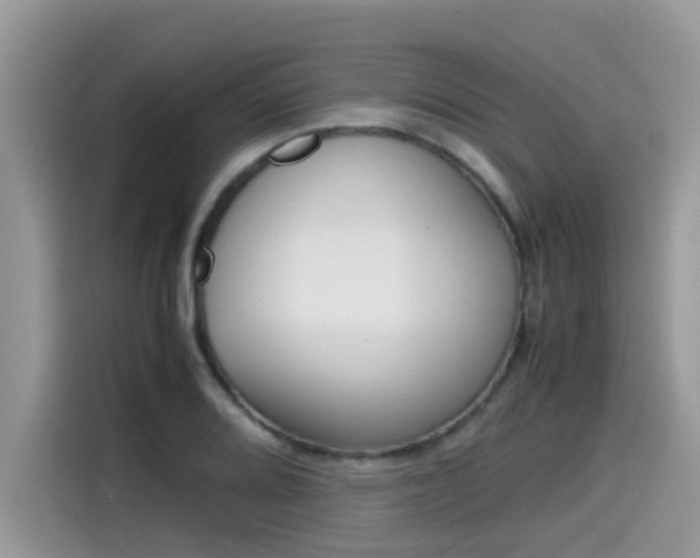 X0000115541080200911131539