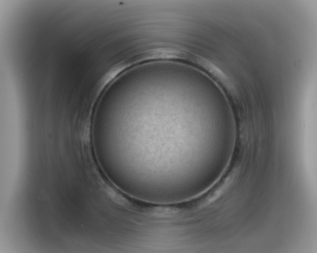 X0000115541081200911131539