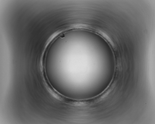 X0000115541082200911131539