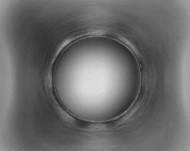 X0000115541083200911131539