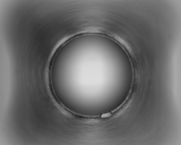 X0000115541085200911131539