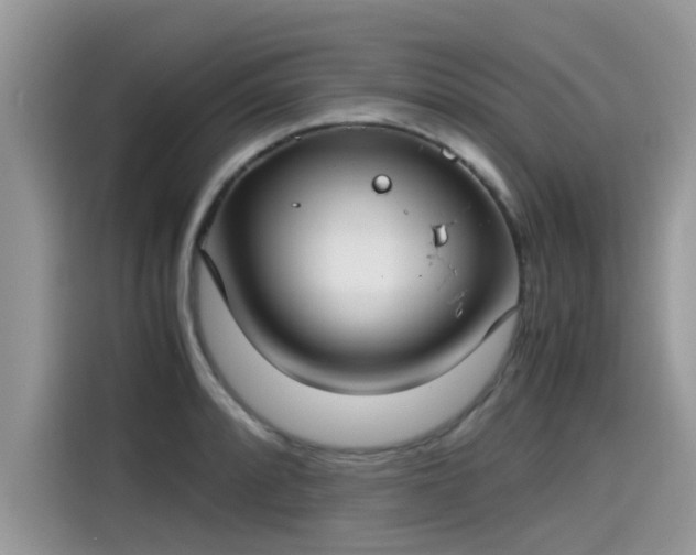 X0000115541088200911131539