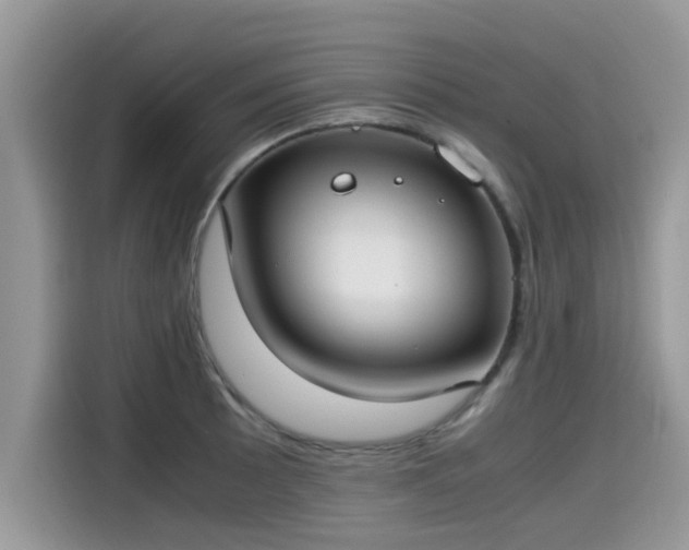 X0000115541089200911131539