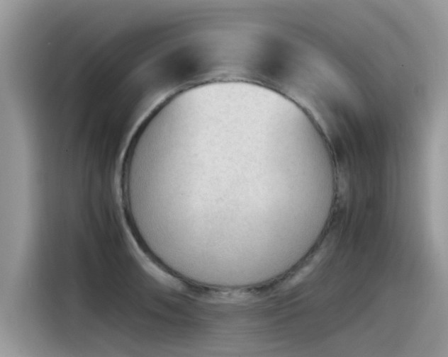 X0000115541090200911131539