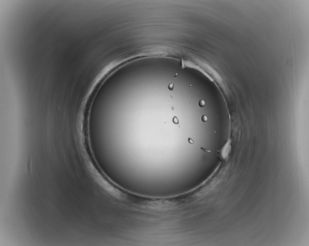 X0000115541091200911131539