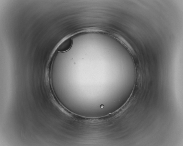 X0000115541092200911131539