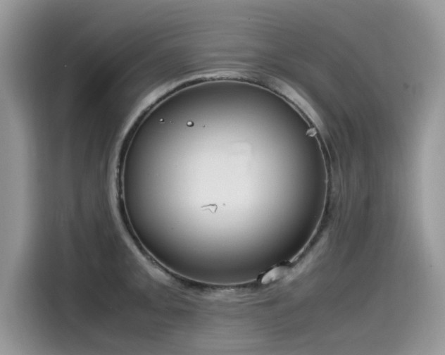 X0000115541093200911131539