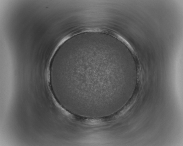 X0000115541095200911131539