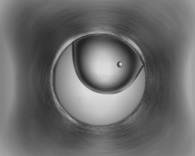 X0000115541096200911131539