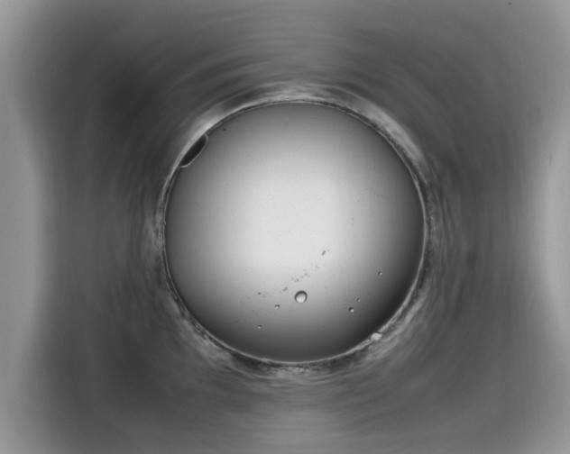 X0000115541097200911131539