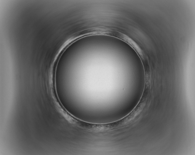 X0000115541099200911131539