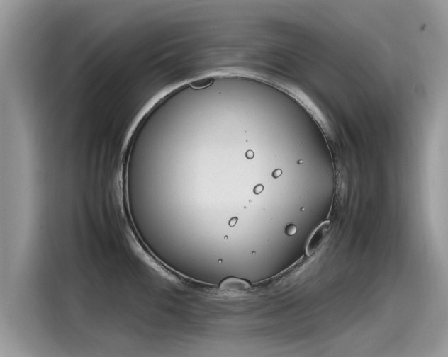 X0000115541100200911131539