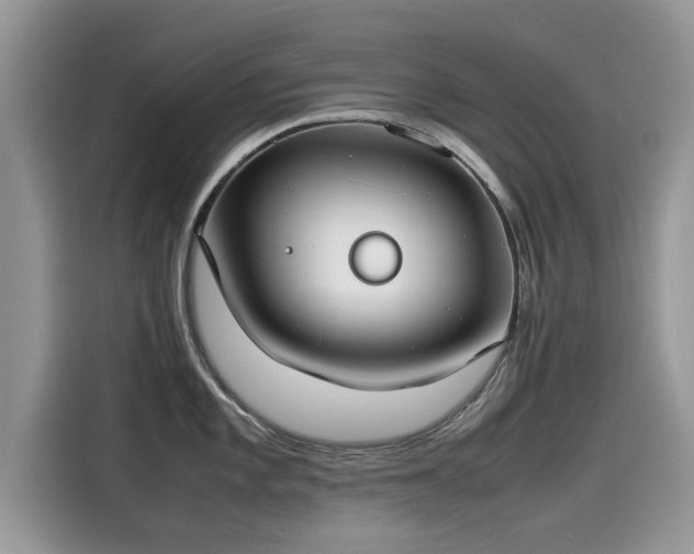 X0000115541101200911131539