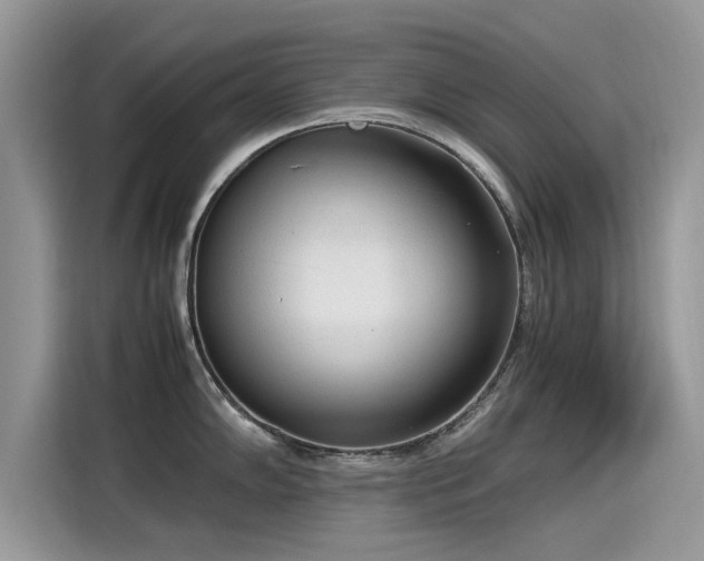 X0000115541102200911131539