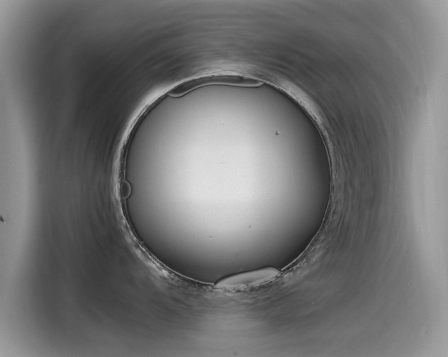 X0000115541104200911131539