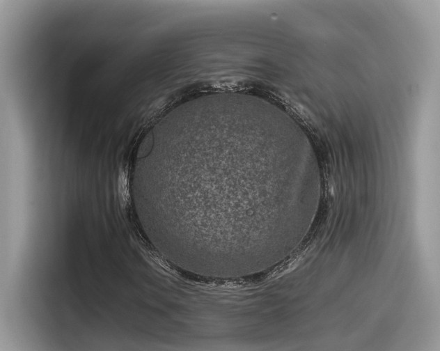 X0000115541106200911131538