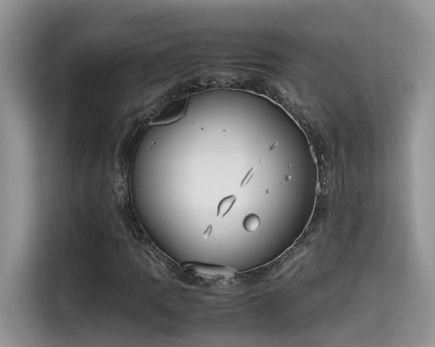 X0000115541109200911131538