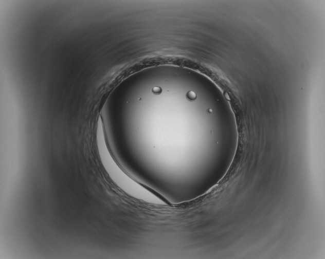 X0000115541110200911131538