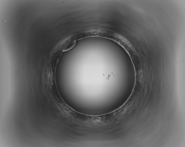 X0000115541111200911131538