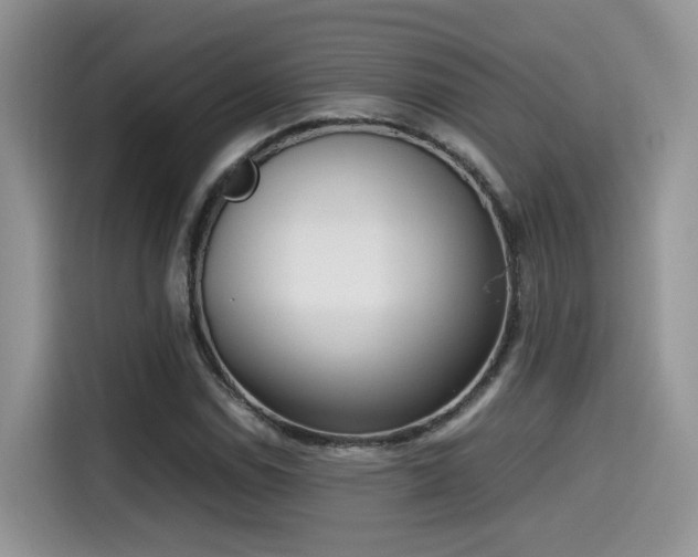 X0000115541114200911131538