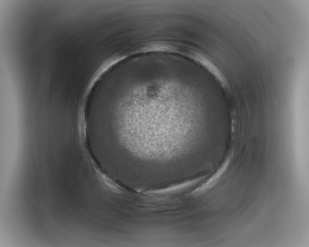 X0000115541117200911131538