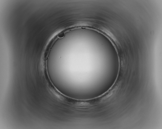 X0000115541119200911131539