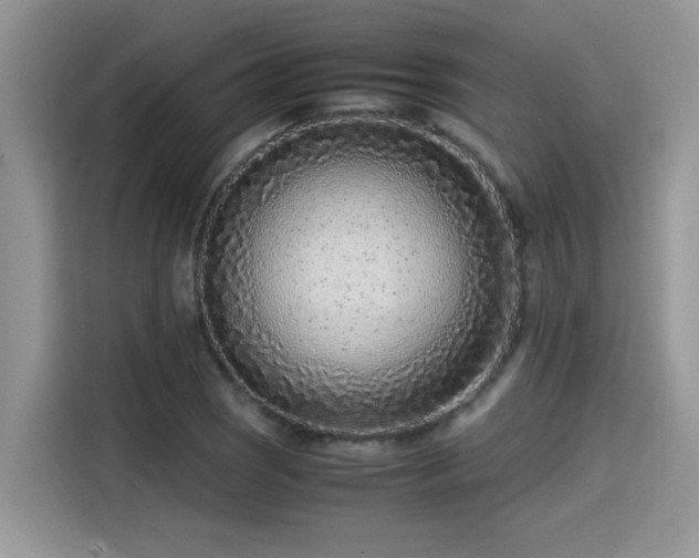 X0000115541121200911131539