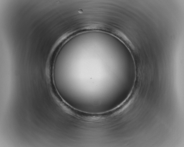 X0000115541122200911131539