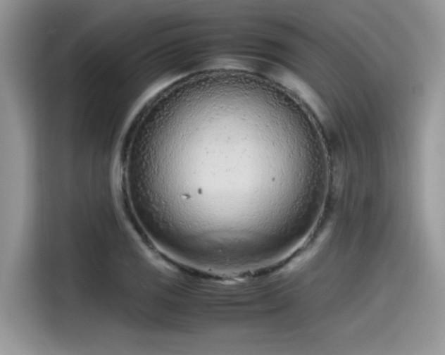 X0000115541125200911131539