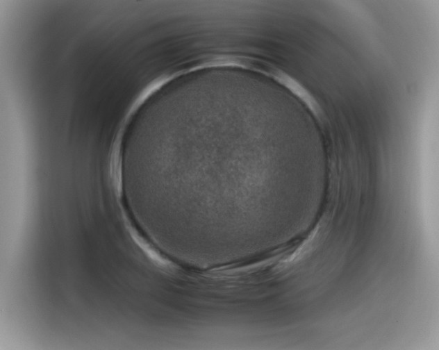 X0000115541127200911131539