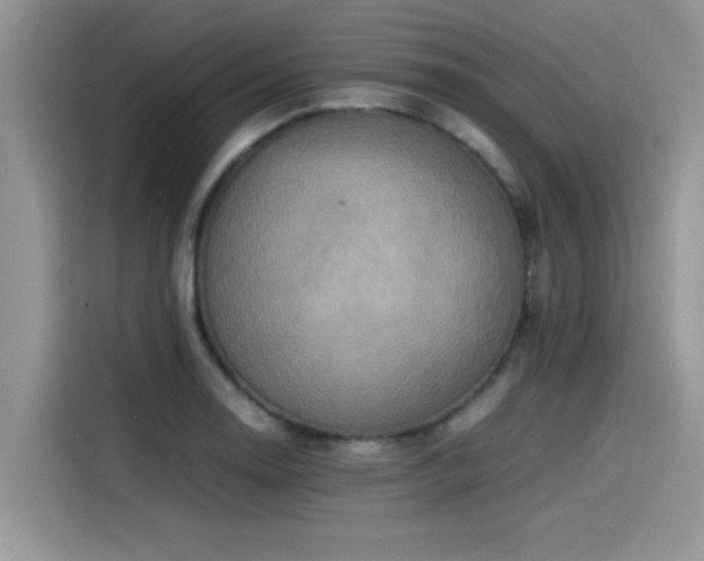 X0000115541130200911131539