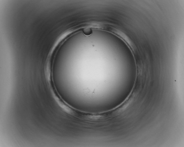 X0000115541131200911131539