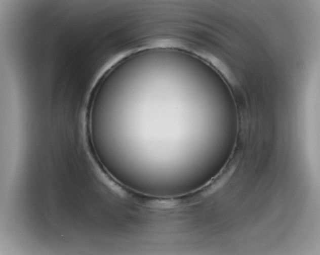 X0000115541134200911131539