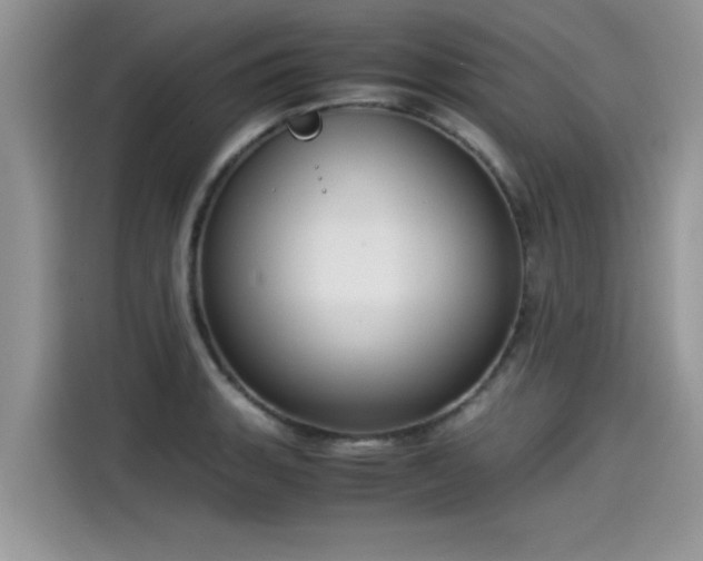 X0000115541135200911131539