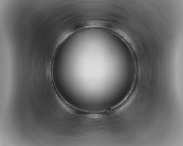 X0000115541137200911131539