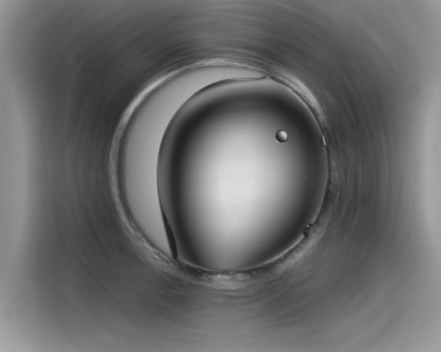 X0000115541138200911131539