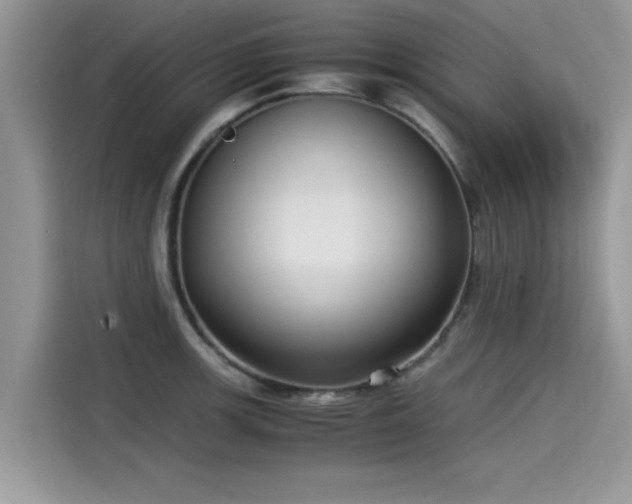 X0000115541139200911131539