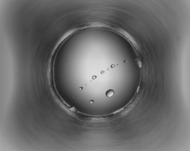 X0000115541142200911131539