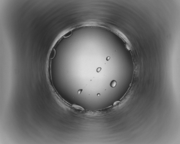 X0000115541146200911131539