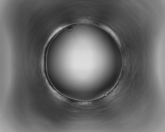 X0000115541147200911131539