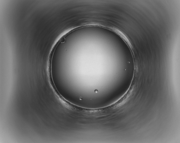 X0000115541149200911131539