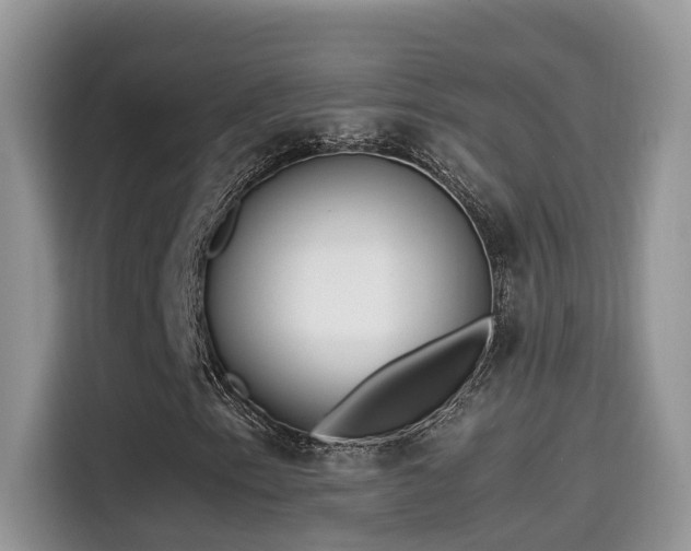 X0000115541153200911131538