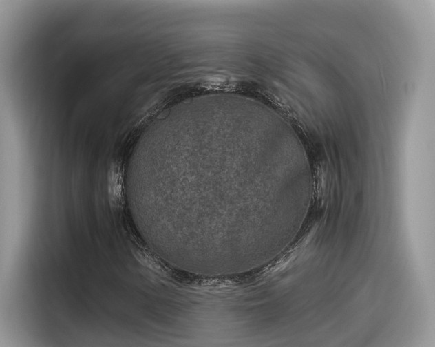 X0000115541154200911131538