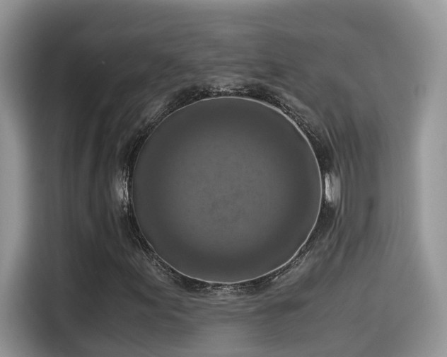 X0000115541155200911131538