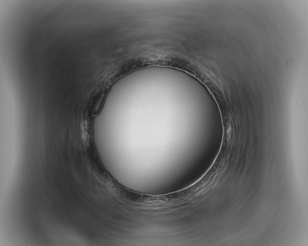 X0000115541156200911131538