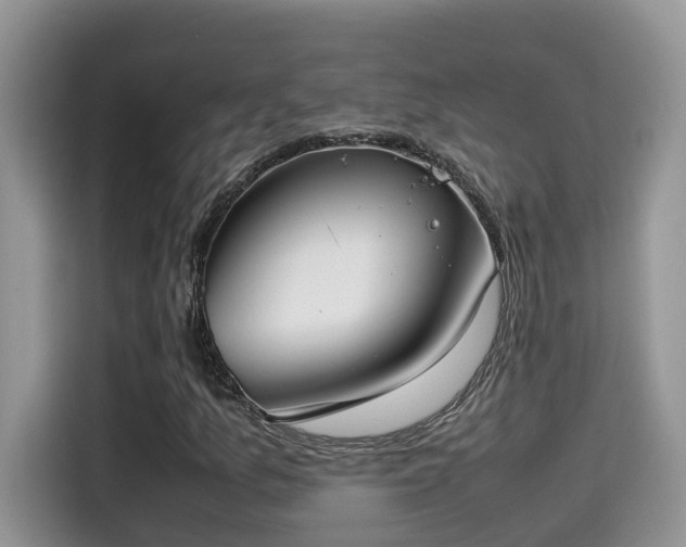 X0000115541157200911131538