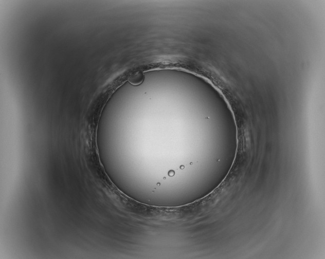 X0000115541158200911131538