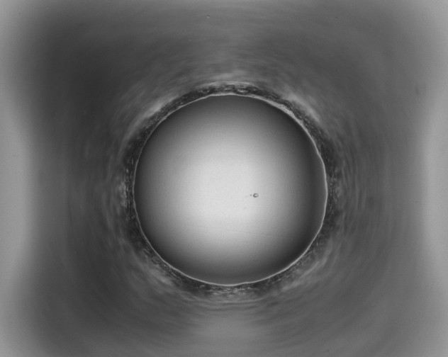 X0000115541159200911131538