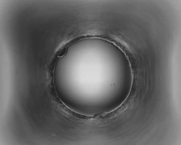 X0000115541160200911131538