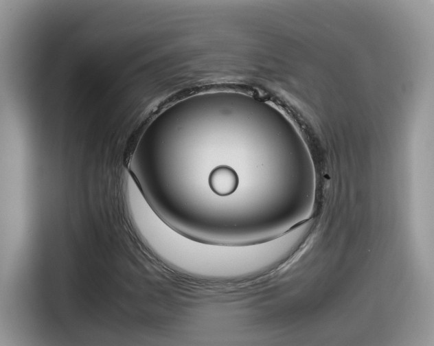 X0000115541161200911131538